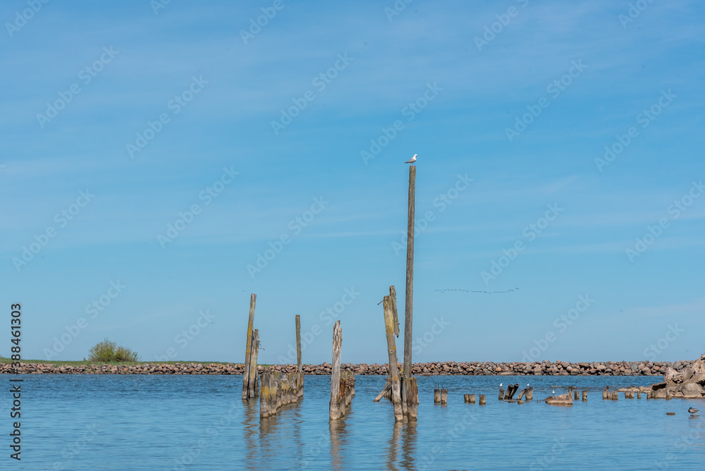 Posts in a Fishing Port in Latvia