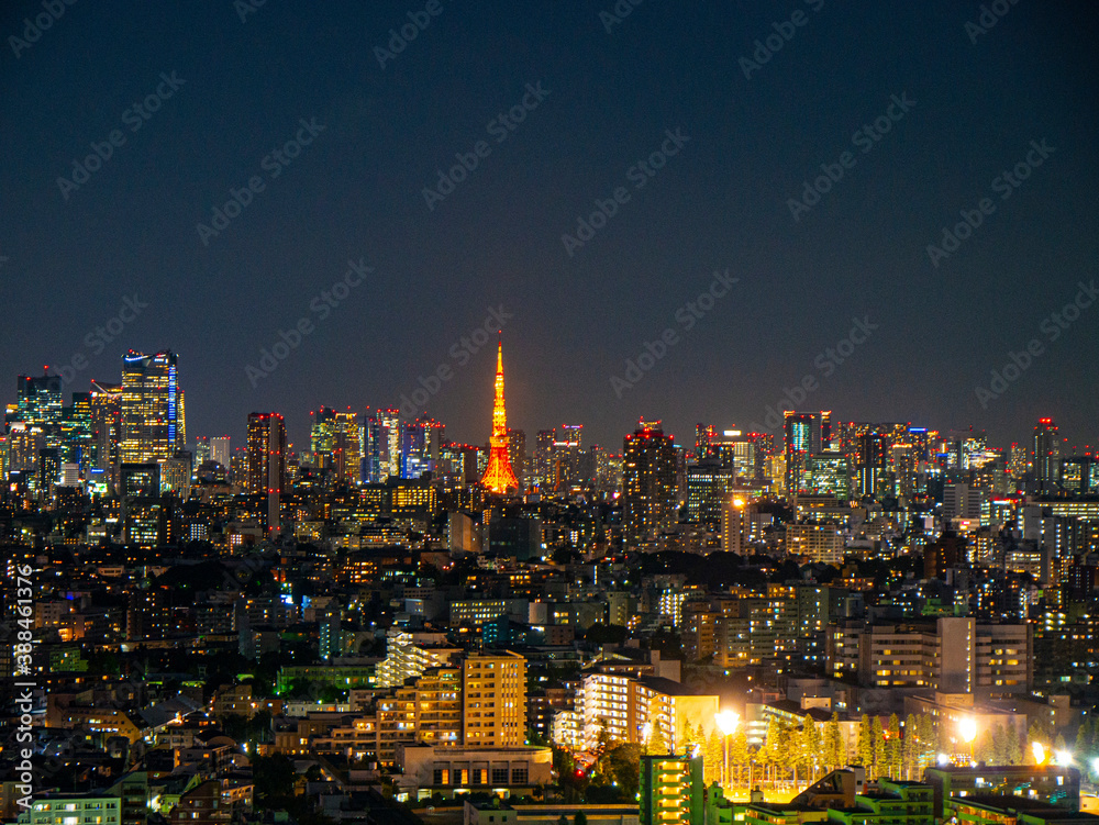 【三軒茶屋・キャロットタワーより】東京都内・夜景