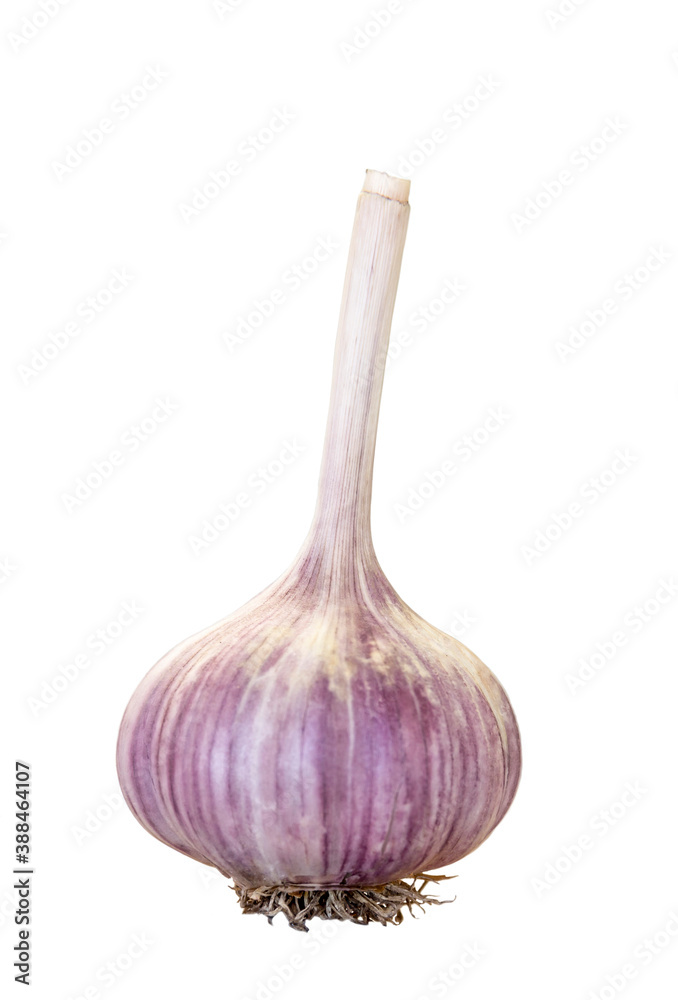 Fresh garlic isolated on a white background