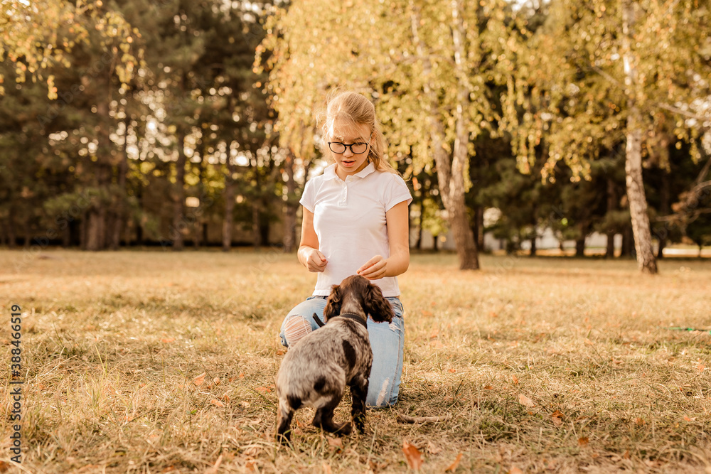 Teenager blonde girl with big glasses laughing and playing with little puppy spaniel in the warm park