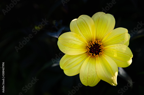 Le jardin des Martels photo