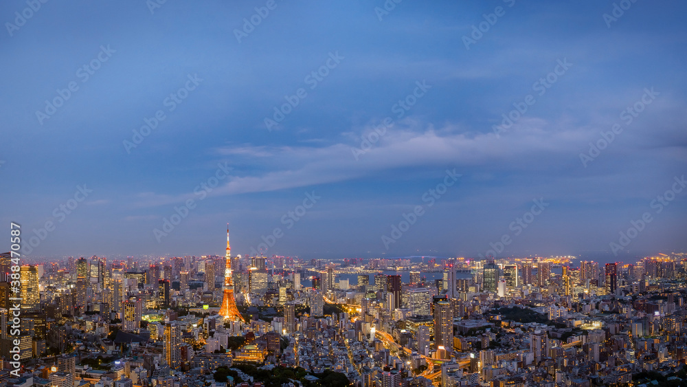 Cityscape of Tokyo skyline, panorama aerial skyscrapers view of office building and downtown in Tokyo in the evening. Japan, Asia...