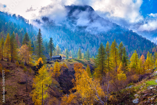 Stunning autumn alpine landscape with colorful redwood forest and beautiful yellow larches.