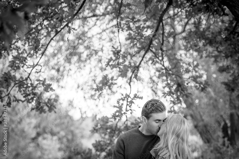 Head And Shoulders Of Kissing Couple Under A Leafy Tree In Black and White Head And Shoulders Of Kissing Couple Under A Leafy Tree In Black and White