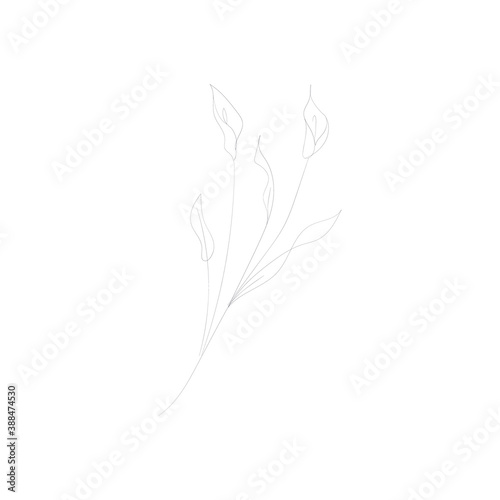 SINGLE-LINE DRAWING: BOTANICAL 3 . This hand-drawn, continuous, line illustration is part of a collection inspired by the drawings of Picasso. Each gesture sketch was created by hand.