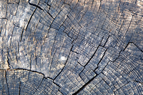 Old rich wood texture background for design. Horizontal image.