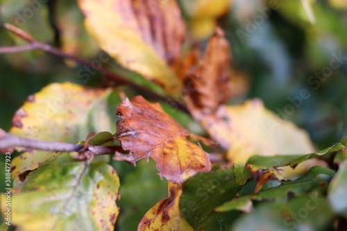 Herbst beginn... 