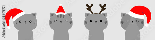 Merry Christmas cat set. Gray face icon in red santa hat. Line banner. Funny kawaii doodle baby animal. Cute cartoon funny character. Pet collection. Kitten kitty. Flat design. White background.
