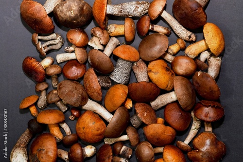  Background with vertical dark gray frame stripes along the edges, from edible mushrooms. photo