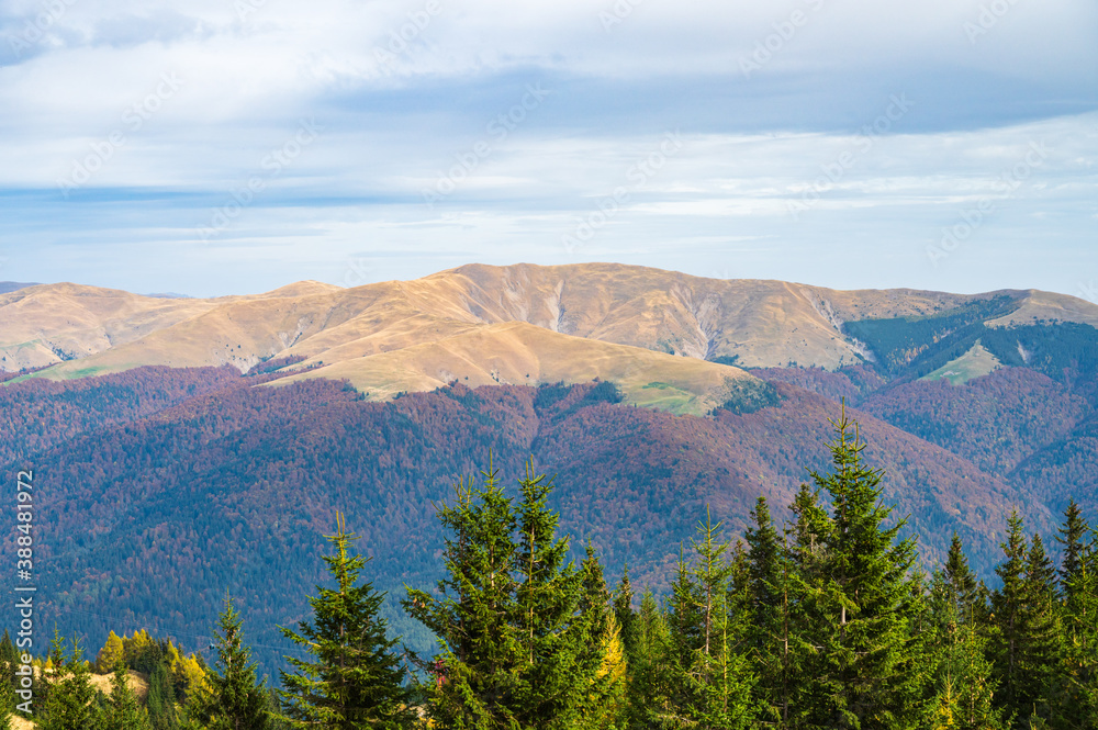 Romanian Carpathians near Azuga