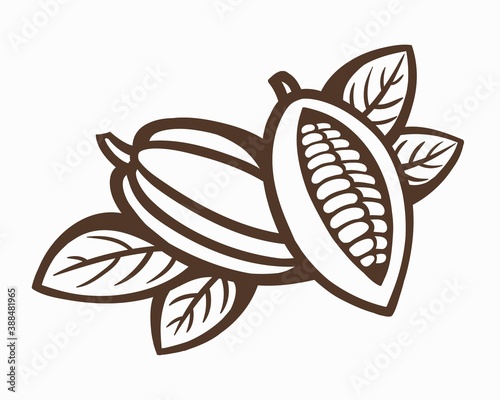 Chocolate cocoa bean icon on a white background. Vector illustration.