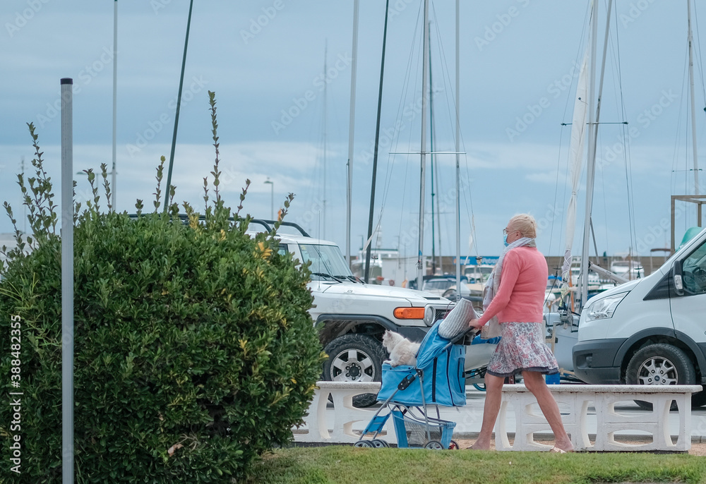 Naklejka premium Elderly white woman walks with her cat in baby carriage along city embankment on port and blue sky background. Taking care of pets. Vacation or holidays in the sea with pets. Woman with pet trailer. 