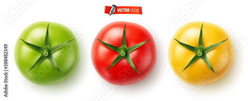 Tomates vectorielles sur fond blanc