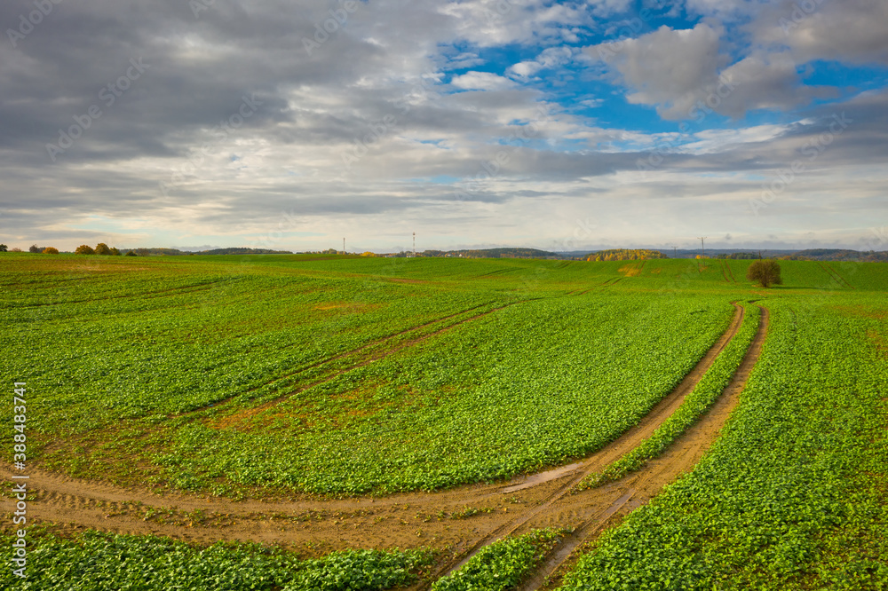 Beautiful landscape of a plowed field in Poland