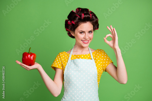 Photo of cute charming student lady roller hairstyle beaming smile show okey hold paprika promoting advising best vegetarian option wear dotted apron shirt isolated green color background