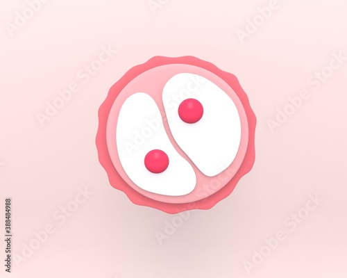 Zygote 2-cell stage. Human embryonic development. 3d rendering medical illustration.  photo