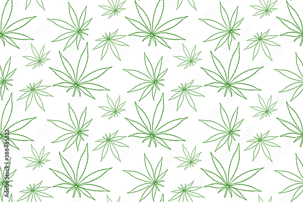 Green contours of cannabis leaves on white background