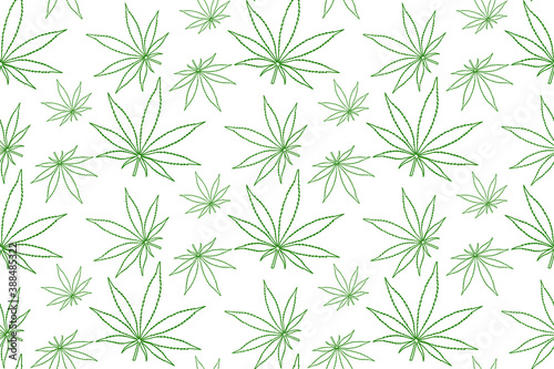 Green contours of cannabis leaves on white background