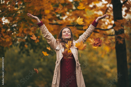 Portrait of young beautiful girl is wearing knitted dress in the autumn park with flying yellow maple leaves.