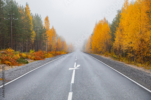 Asphalt road in the autumn foggy forest. Travels.