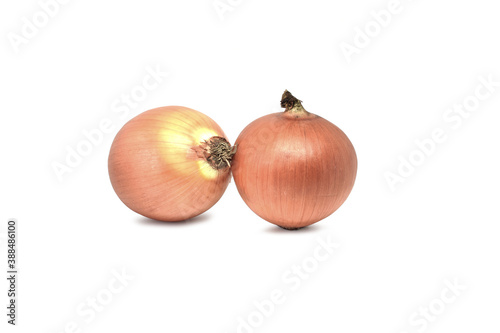 onion on a white background