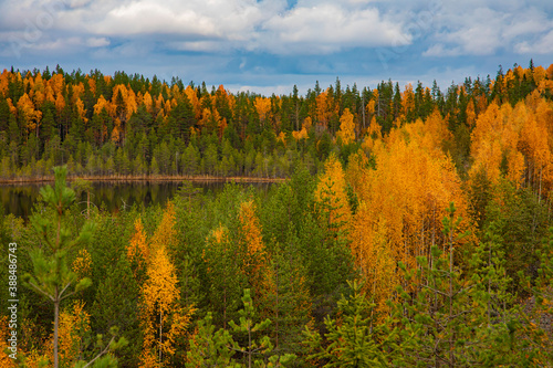 Colorful view of the autumn forest and a small lake.