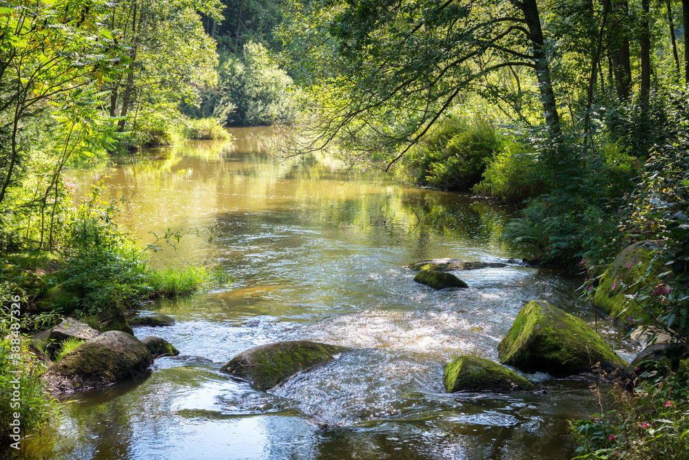 small rapids on a stream in summer small rapids on a stream in summer