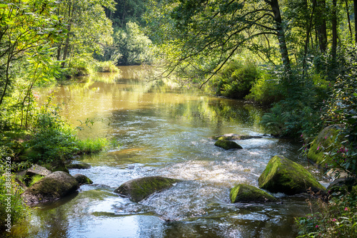 small rapids on a stream in summer