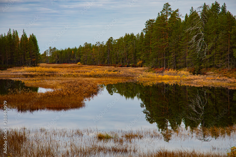 Colorful view of the autumn forest and a small lake.