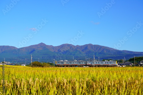 赤城山と稲穂とローカル線