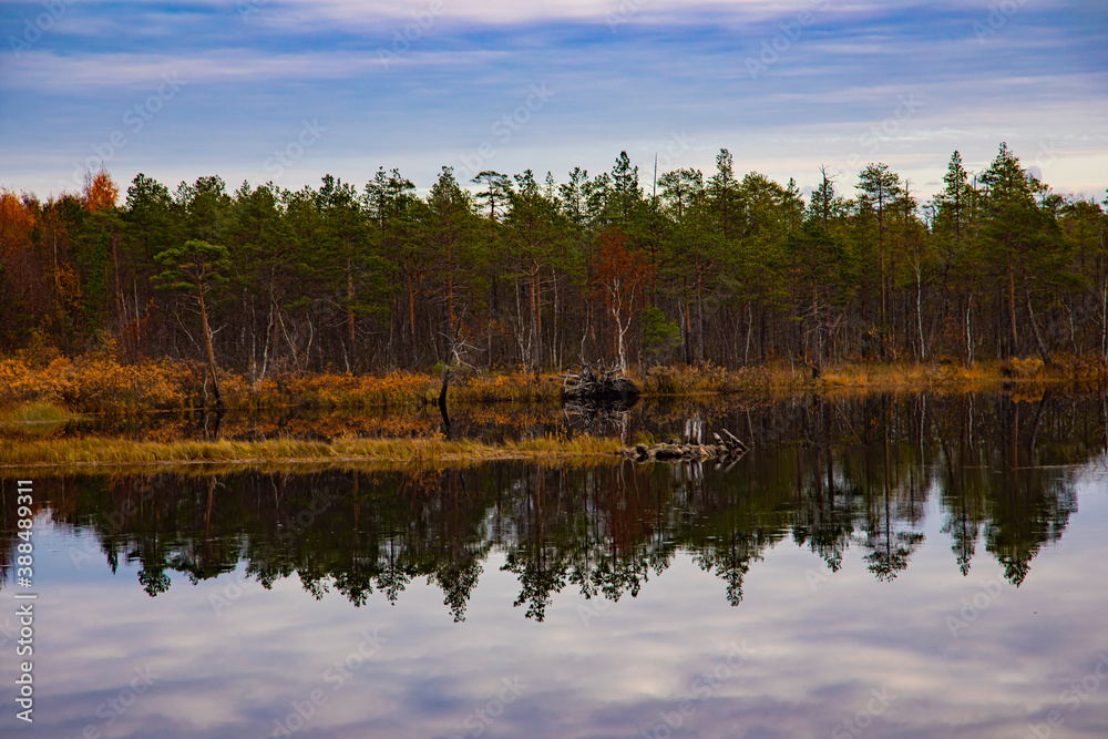 Obraz premium Autumn forest and sky reflected in water. Colorful autumn landscape.