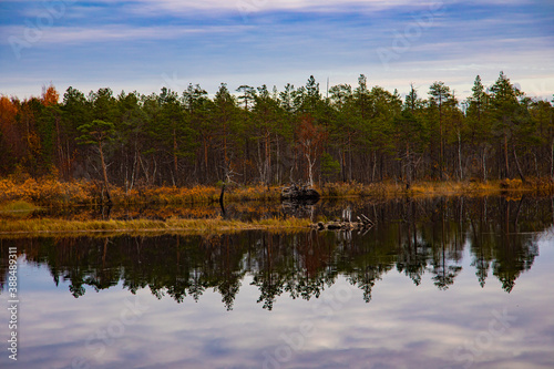 Fototapeta Naklejka Na Ścianę i Meble -  Autumn forest and sky reflected in water. Colorful autumn landscape.