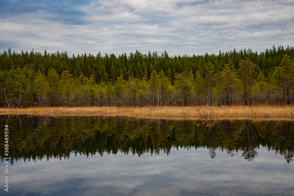 Autumn forest and sky reflected in water. Colorful autumn landscape.