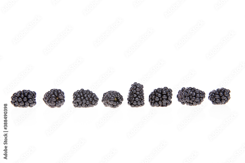 raw fresh blackberries on white background, close view raw fresh blackberries on white background, close view