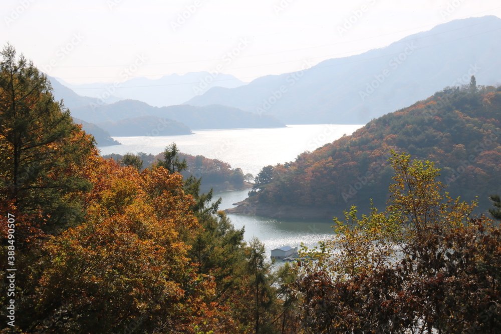 Obraz premium autumn in the mountains
