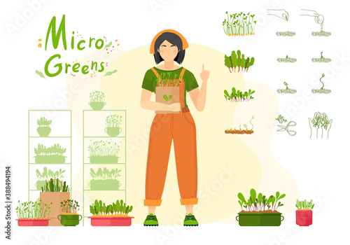 Microgreen. The girl sprouts microgreen