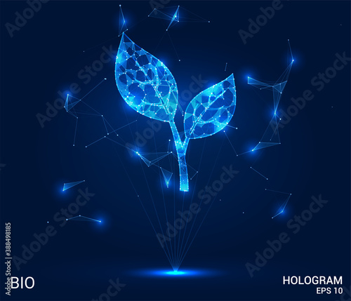 Bio hologram. Bio petals made up of polygons, triangles, points, and lines. The plant is low, the structure of the compound. The technology concept.