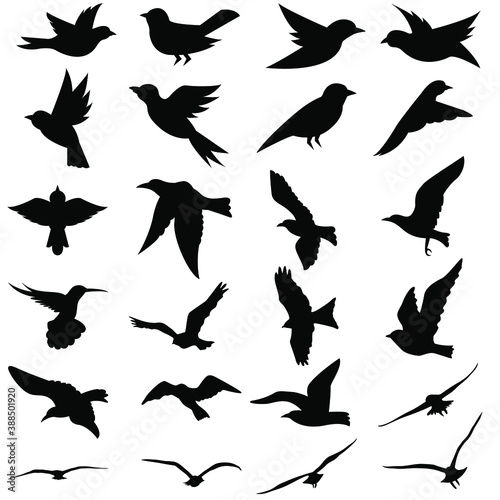 Birds icon vector set. animals illustration sign collection. nature symbol.