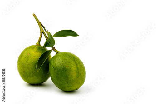 fresh green lime  Citrus aurantifolia Swingle  with  leaves  isolated on white background