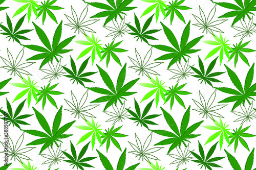 Green cannabis leaves on white background