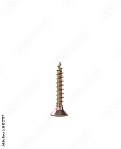 Golden screw isolated on white background