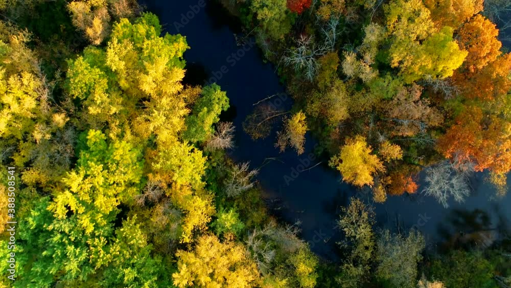 Aerial shot flying over a river surrounded by a forest exploding with peak autumn colors. Aerial shot flying over a river surrounded by a forest exploding with peak autumn colors.