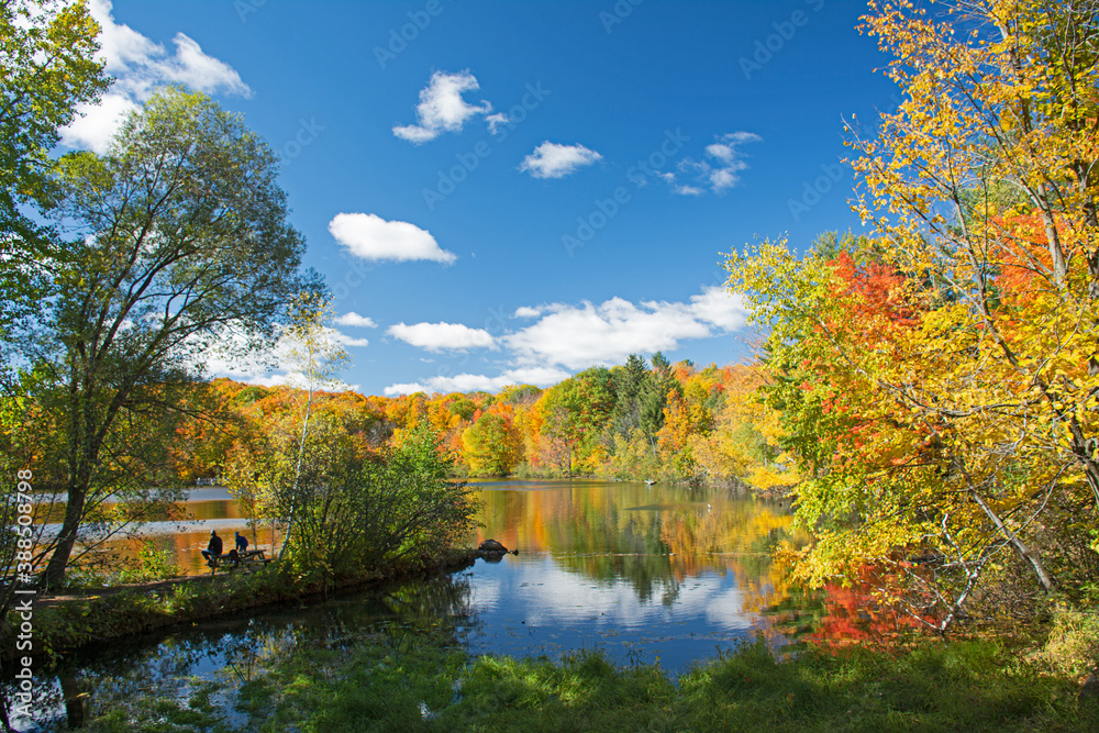 autumn landscape with lake