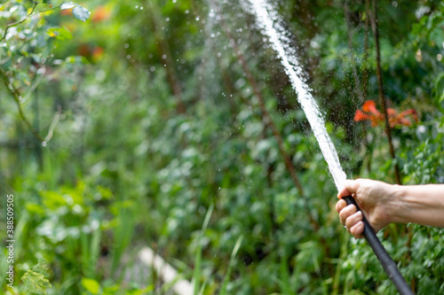 Watering the garden with a hose