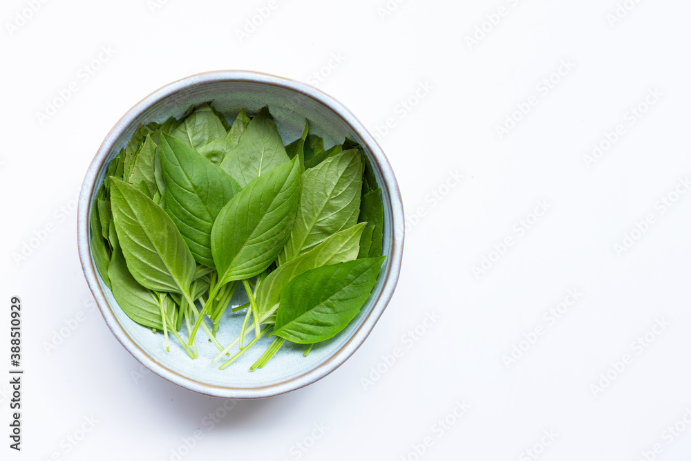 Sweet Basil leaves in bowl on white background. Sweet Basil leaves in bowl on white background.