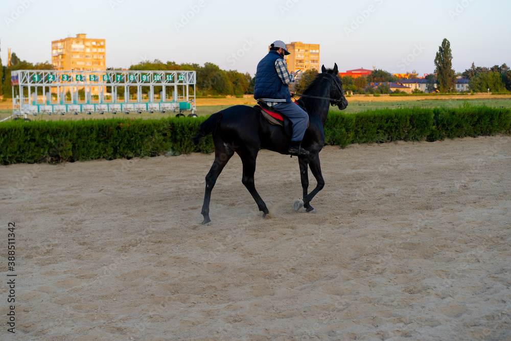 Man riding a horse at the racetrack Man riding a horse at the racetrack