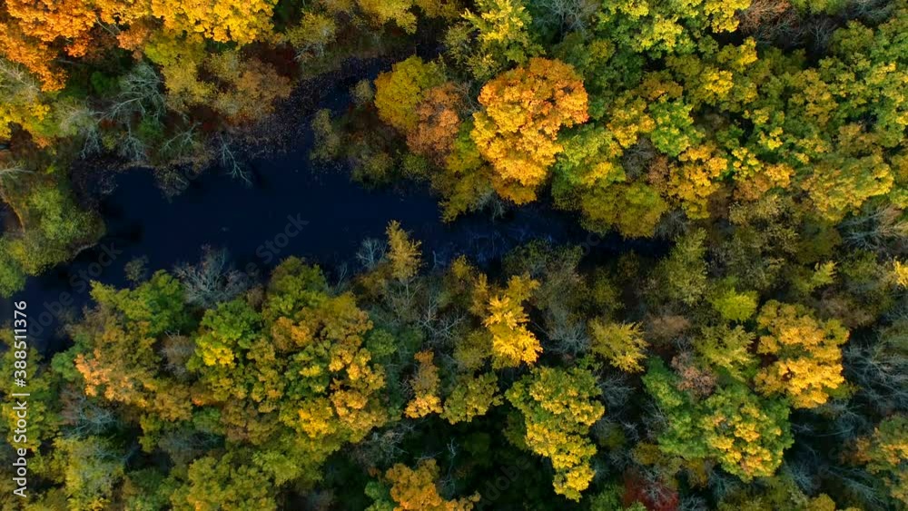 Aerial shot flying over a river surrounded by a forest exploding with peak autumn colors. Aerial shot flying over a river surrounded by a forest exploding with peak autumn colors.