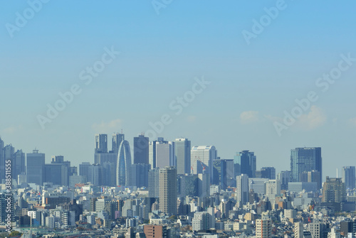 東京の景観 © Paylessimages