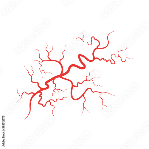 Human veins red blood vessel vector illustration isolated on white background.