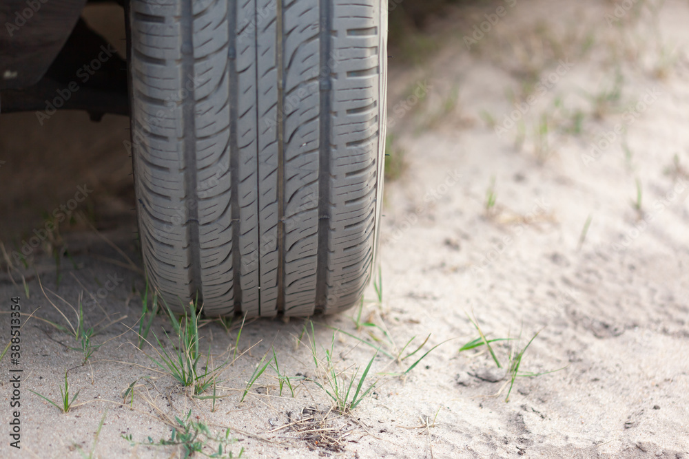 Obraz premium Car wheel on sand, rare grass grows out of sand